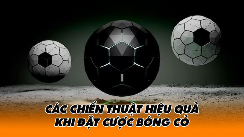 Các chiến thuật hiệu quả khi đặt cược bóng cỏ