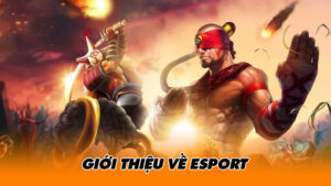 Giới thiệu về Esport là gì?